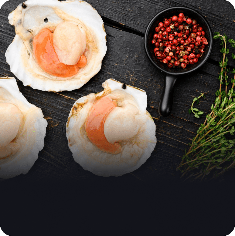 Морепродукты и моллюски